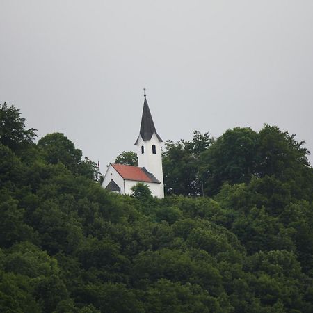 Guesthouse Ob Sotocju Budic Brežice Zewnętrze zdjęcie